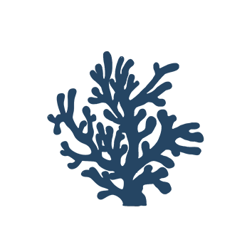 icone ecosysteme marin cyr peche guide sortie peche en mer bassin arcachon et cap ferret